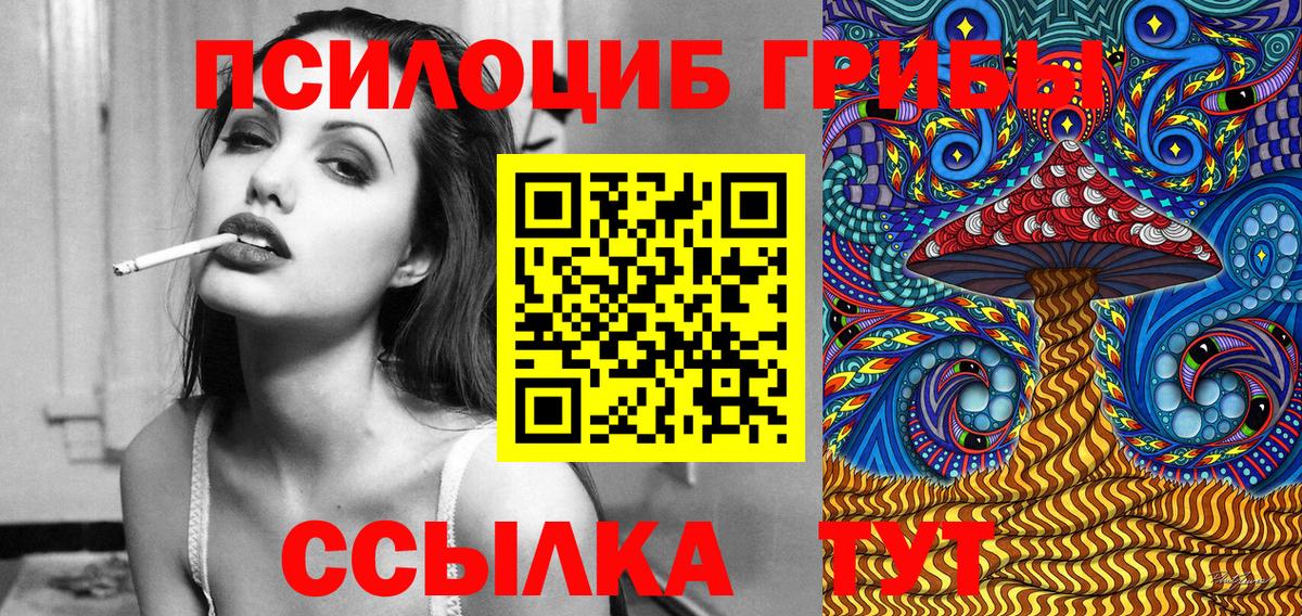 что такое   Вход с VPN  Мариинск  Галлюциногенные грибы Cubensis 