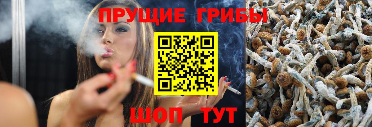 Псилоцибиновые грибы MAGIC MUSHROOMS Мариинск